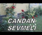 Cömlekci10(Müzik) Candan Sevmeli