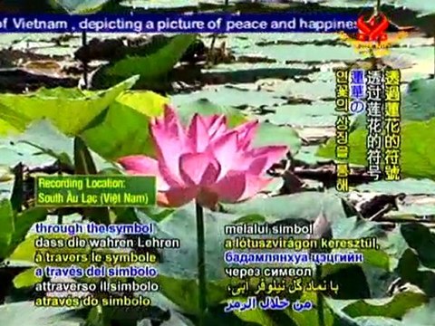 Vietnamese Buddhist Temples