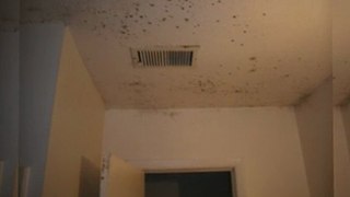 Mold Removal Atlanta, Ga. Right Way Restoration 678.528.7829