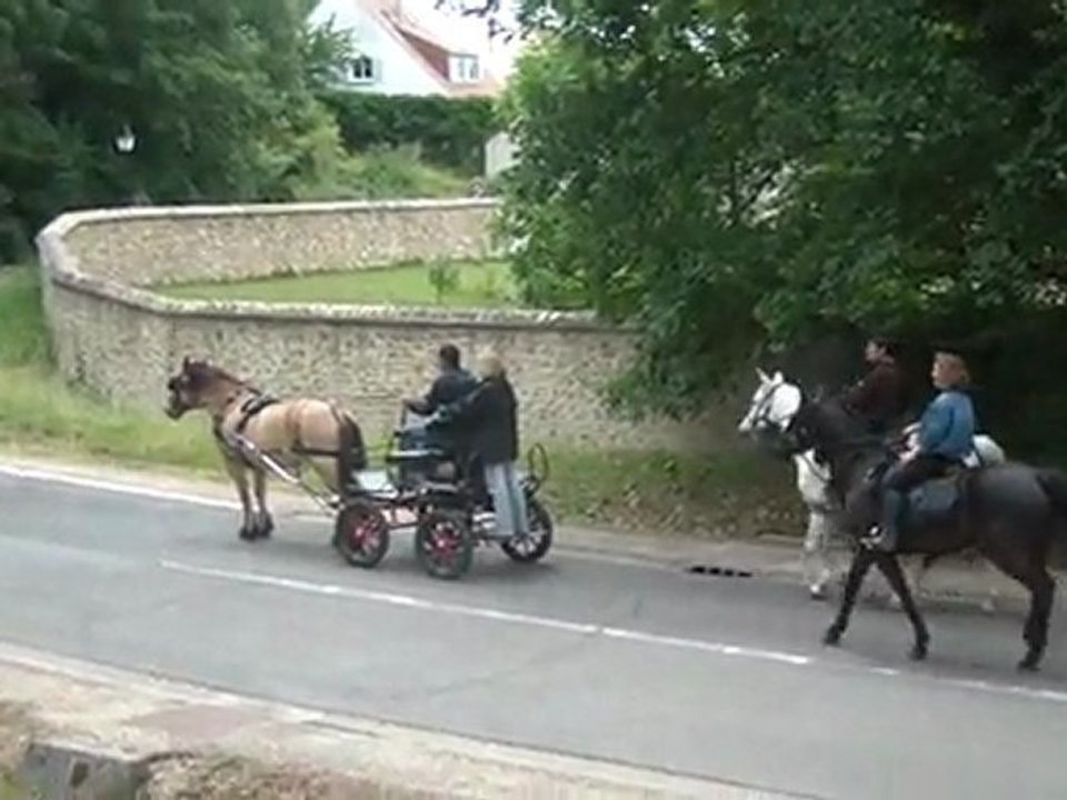 12.06.2011.zm.transyvelines
