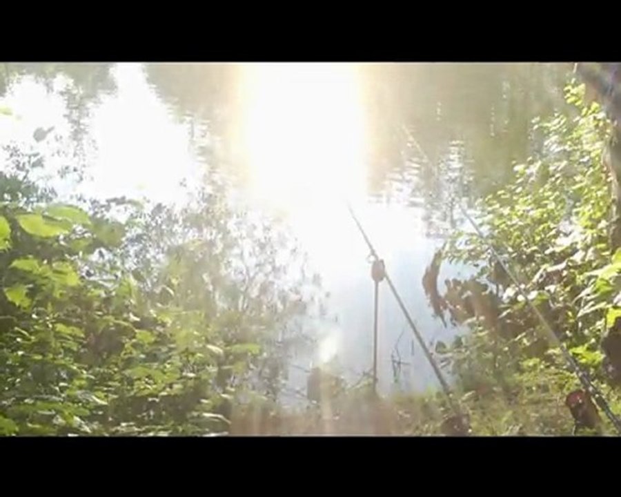 team mad baits