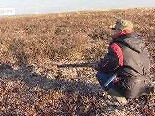 Climate change in the far north of Russia | Video of the day