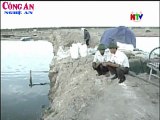 Nghệ An: Người nuôi tôm điêu đứng vì dịch đốm trắng