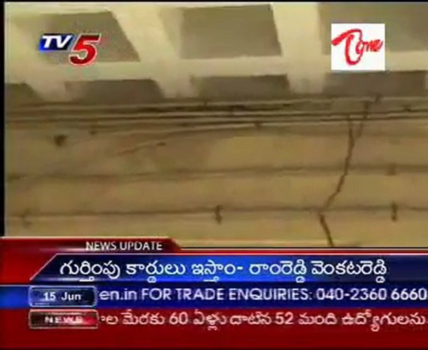 snake found in Collector office