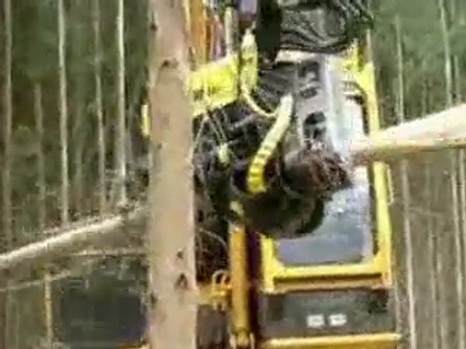 Mounstro Ecologico
