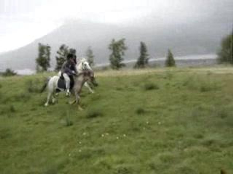 Au Triple Galop