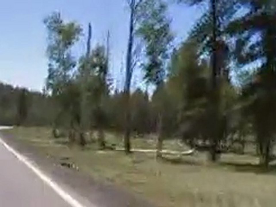 sur la route forêt de Flagstaff
