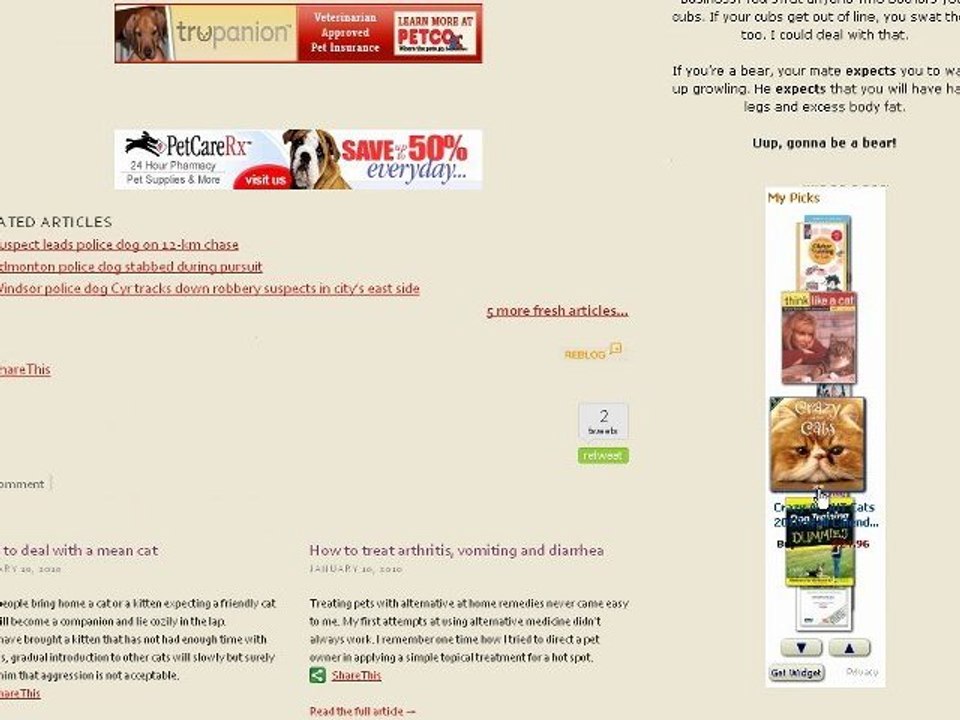 Blog Critique- PetCarez.com