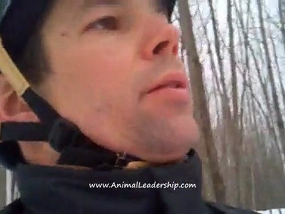 Animal Leadership training taught from horseback