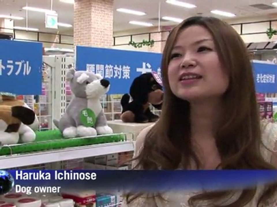 Japan's ageing pets spark elderly care boom