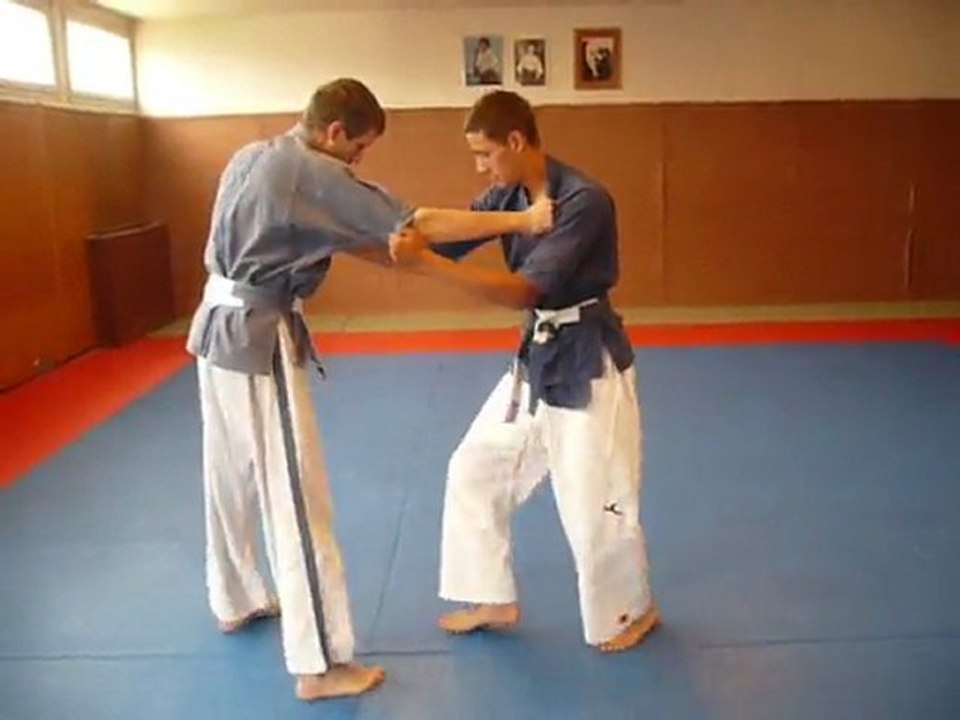 - TECHNIQUES DE NAGE WAZA - Yoseikan budo