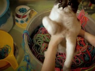 Tricot machine - Défier les rites