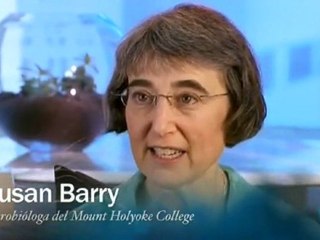 Vision binocular y optometria: Susan Barry