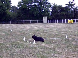DIXIE des Côteaux du Lys