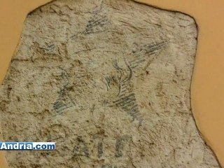 Andria, le verità nascoste: Quando Garibaldi "votava comunista"