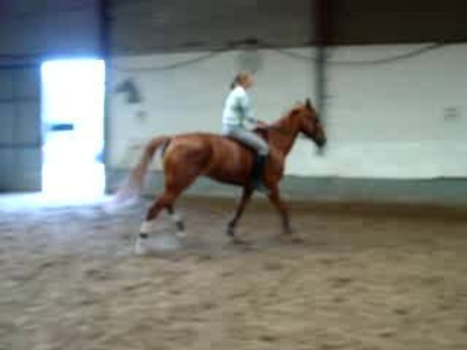 Galop main droite