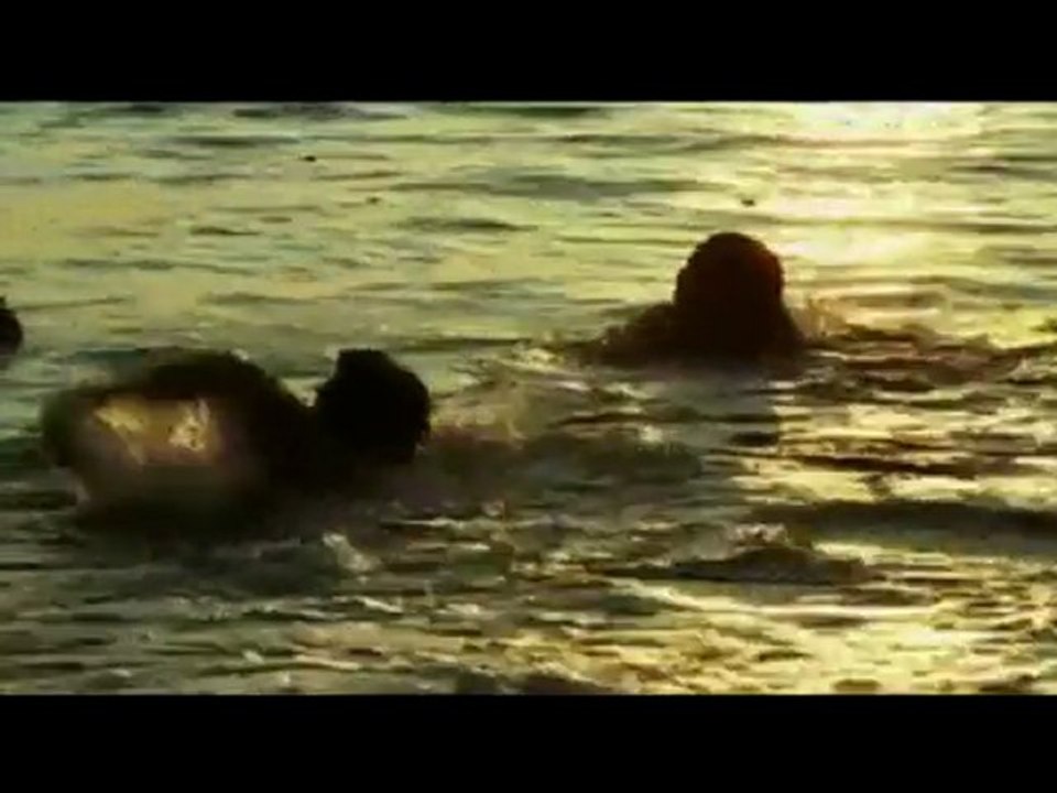 Midnight Summer Dream @ ALMAZ