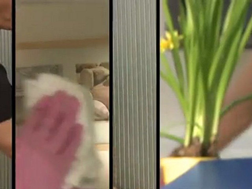 Carpet cleaning in london