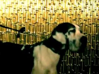 Bob Sinclar - Far L'Amore - (french version)