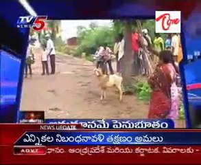 Andhra Pradesh News HeadLines - Regional News