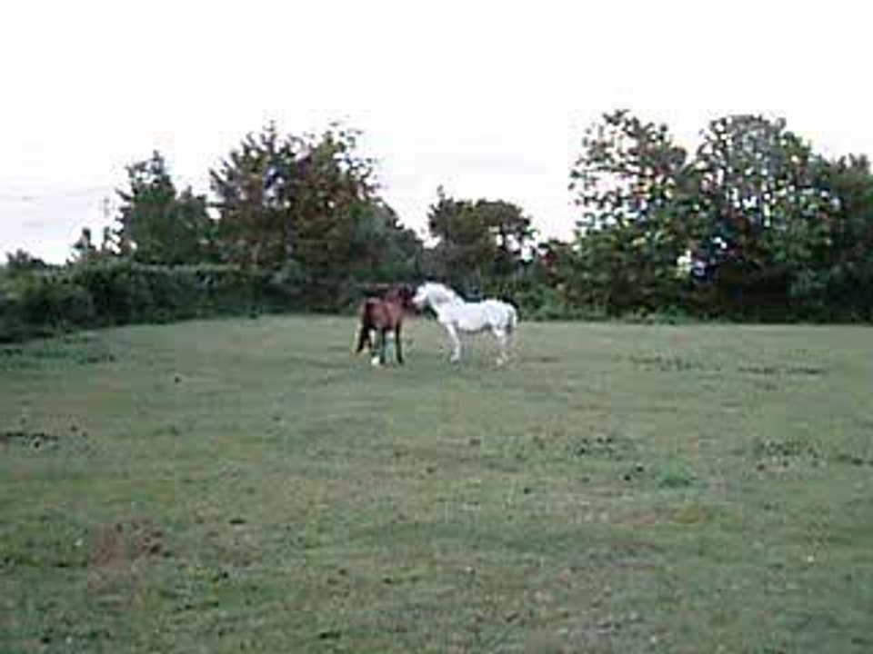 16 aout 074