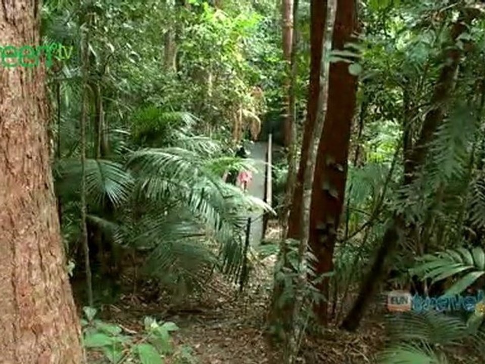 Tropical Far North, Queensland