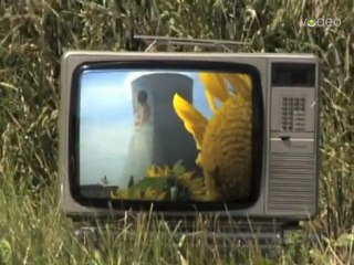 Réchauffement climatique, conséquences et enjeux