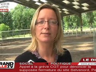 Equi-Jobbing : Apprendre à manager avec un cheval !