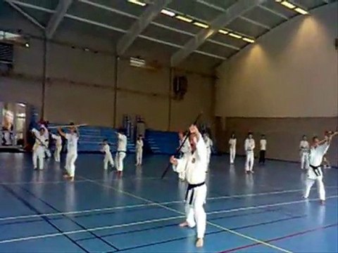 Stage Shito Ryu Karate Do juin 2011