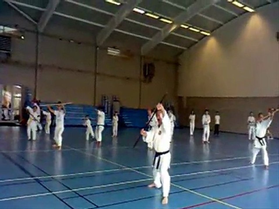 Stage Shito Ryu Karate Do juin 2011