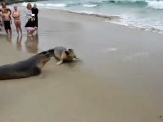 Lets Start A New Life With Kiss