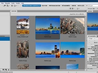 Bridge CS5 et Camera Raw 6 : Les collections