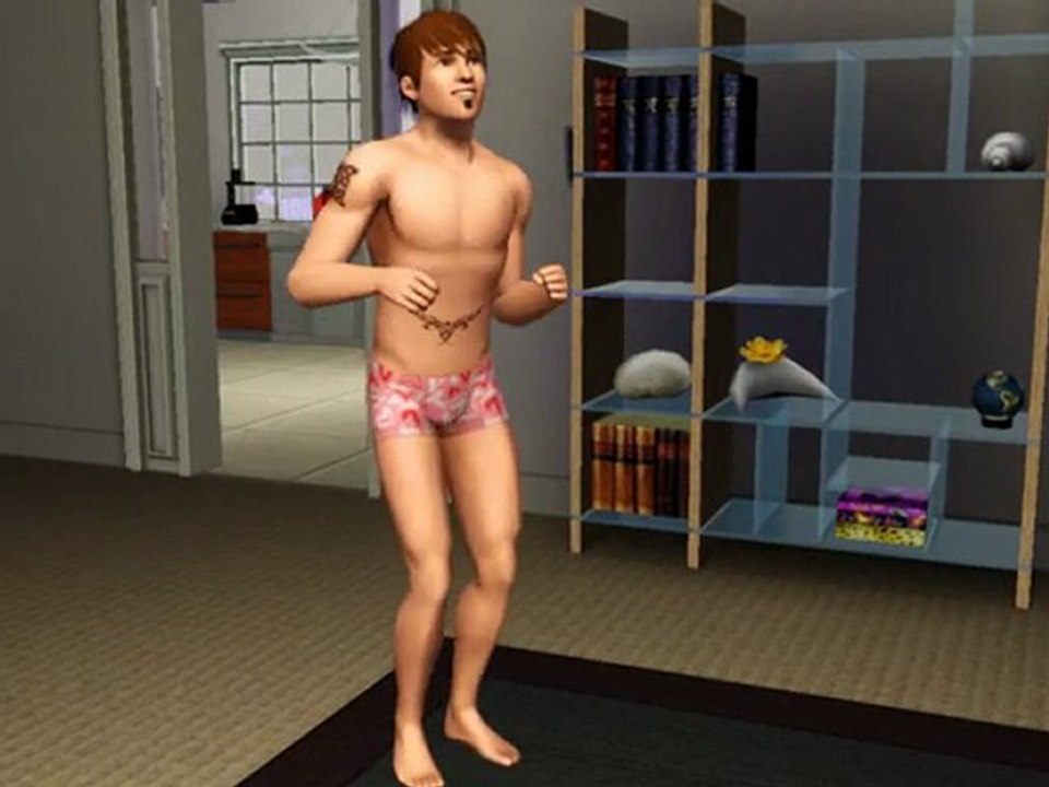 Sims 3 Danse