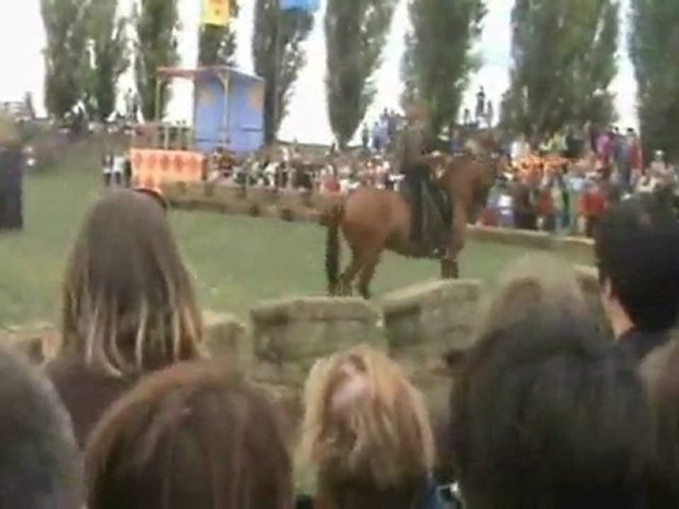 Marie Hélène GODBERT - THEATRE EQUESTRE PICARDIE - Spectacle MEDIEVAL