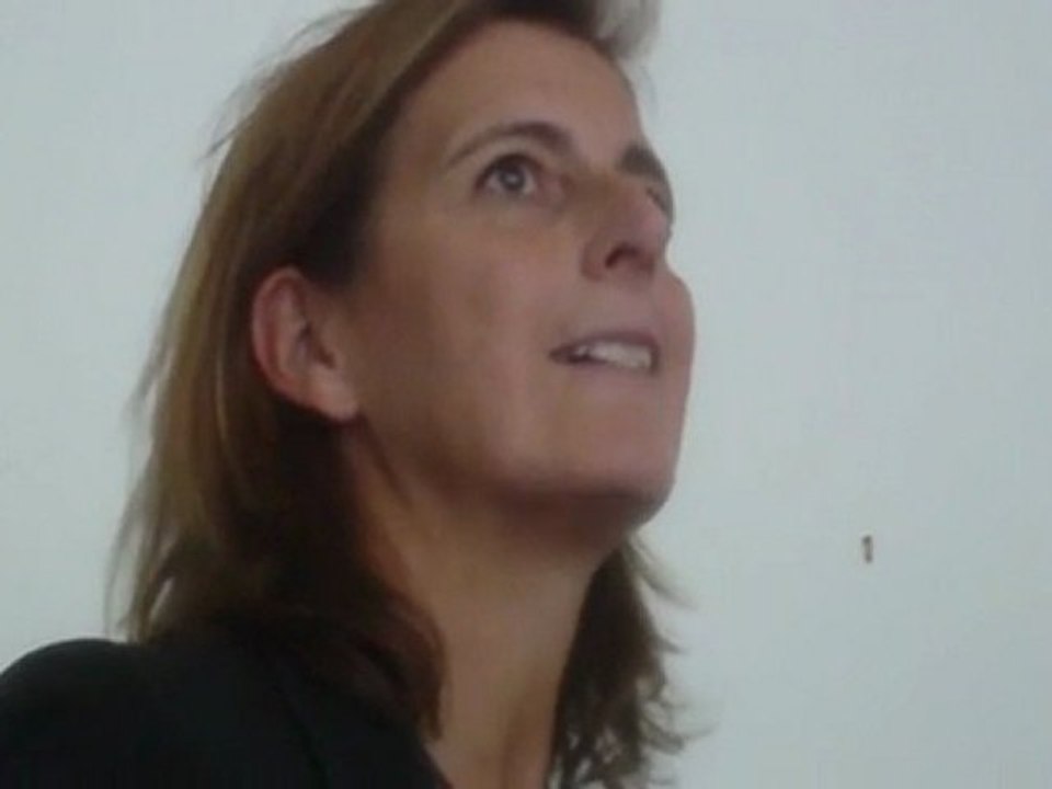 RIVE 2011: Rencontres Internationales des Voitures Ecologiques à ALES