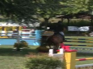 PETRUS JOLIVET - CSI** PALAISEAU 14/05/2011