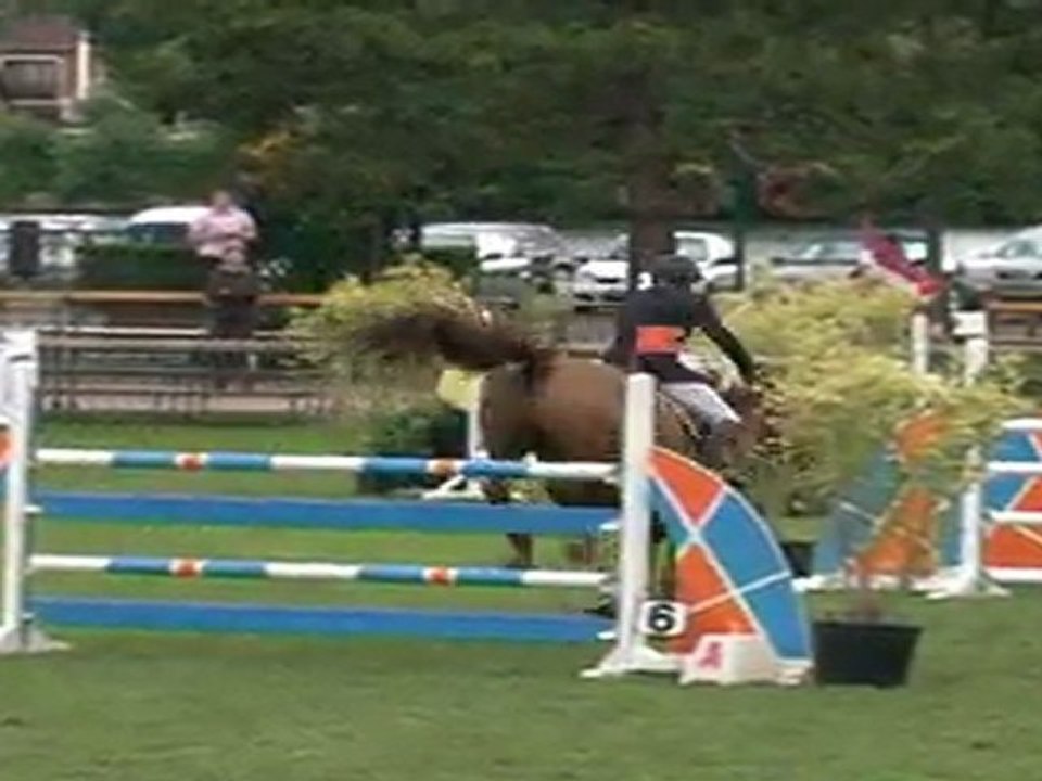 PETRUS JOLIVET - CSI** MANTES LA JOLIE 11/06/2011