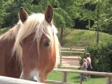 Le cheval : la plus belle conquête du tourisme français ?