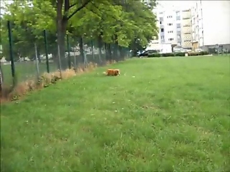 Snooka le 13 06 11