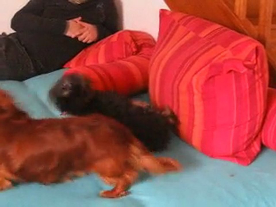 MVI_1238