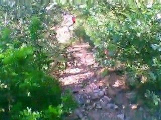 Descenso MTB Vereda de Linares (12/06/2011)