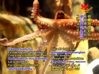 Claudia Hehr: Heart to Heart Communication with Animals