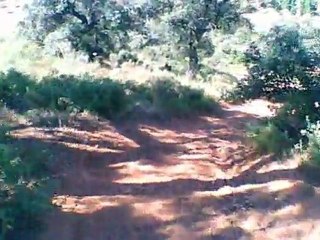 Descenso MTB Arroyo Pedroche (12/06/2011)
