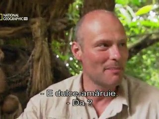 Amazonas Animals Brasil (2)