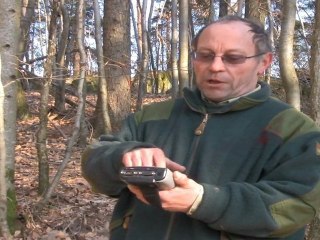 Séance de martelage en forêt communale d'Abreschviller
