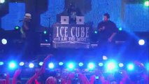 Ice Cube 