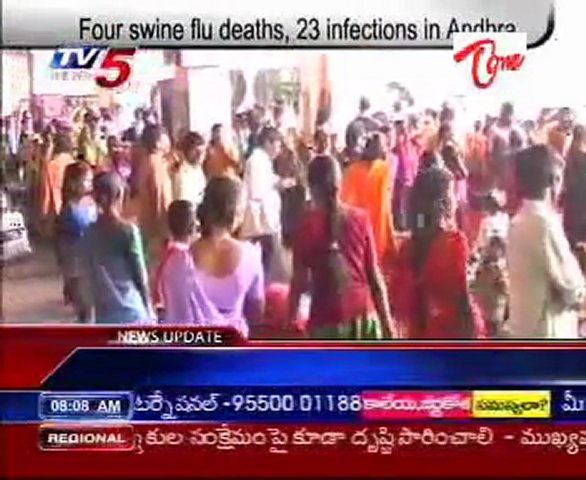 Four swine flu deaths, 23 infections in Andhra Pradesh