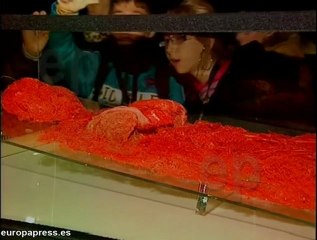 Muestra anatómica de doce cadáveres humanos