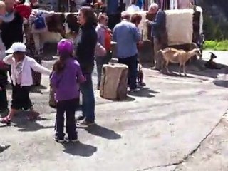 village des chèvres