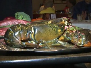 10-year-old food critic gets rave reviews